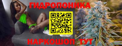 МДПВ Лесосибирск