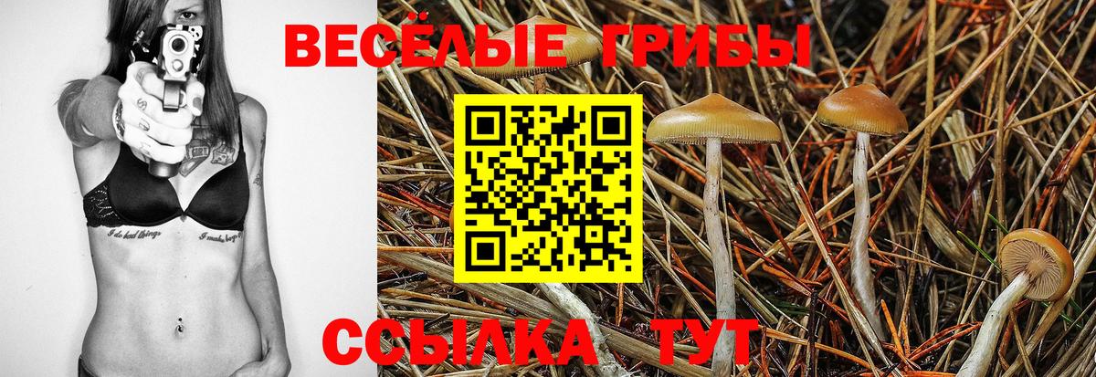Галлюциногенные грибы GOLDEN TEACHER  Вход с VPN  Заводоуковск 